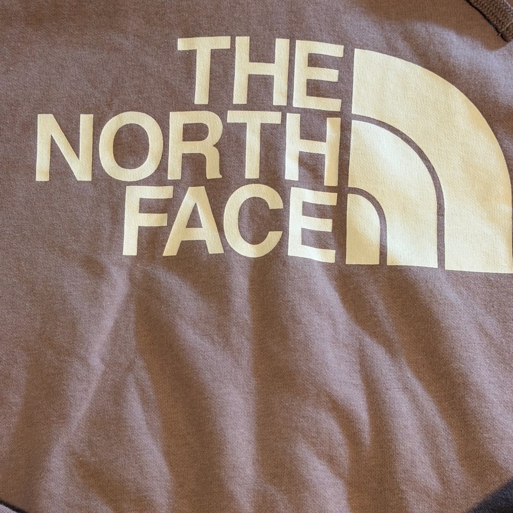 The North Face Women's Half Dome Pullover Hoodie Pale/Blush Pink - Picture 8 of 9